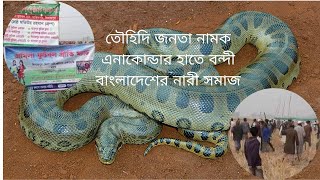 তৌহিদি জনতা নামক এনাকোন্ডার হাতে বন্দী বাংলাদেশের নারী সমাজ