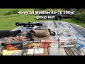 Henry All Weather 45-70 100yd group test