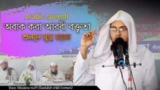 আরবি বক্তৃতা হুবহু আরব শায়েখদের মত।Mufti Ebadullah shibli nomani মুফতী ইবাদুল্লাহ শিবলী নোমানী।