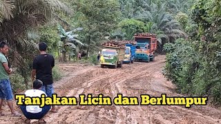 Sopir Truk Sawit Tunjukkan kemampuannya di Tanjakan Licin dan Berlumpur