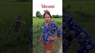 ถามได้อยู่ แต่ตอบบ่ได้ #พอลล่าสายฮา #ลิปซิงค์ #ตลก #เกษตรอินทรีย์ #funny #shortvideo #shorts #short