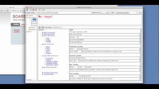 Playing with SOARS, Spot Oriented Agent Role Simulator.