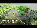 Tak Disangka !! Mancing DI Bawah Daun Tangkatang Banyak Strike Ikan Merah nya