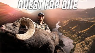 QUEST FOR ONE- Oregon Bighorn Sheep Hunt