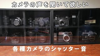 カメラの鼓動 シャッター音 フィルムカメラからデジタル一眼まで