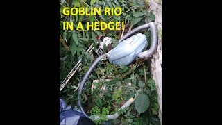 Vintage 1991 Goblin Rio Hedge Find! - Does it work? Should I put it back??