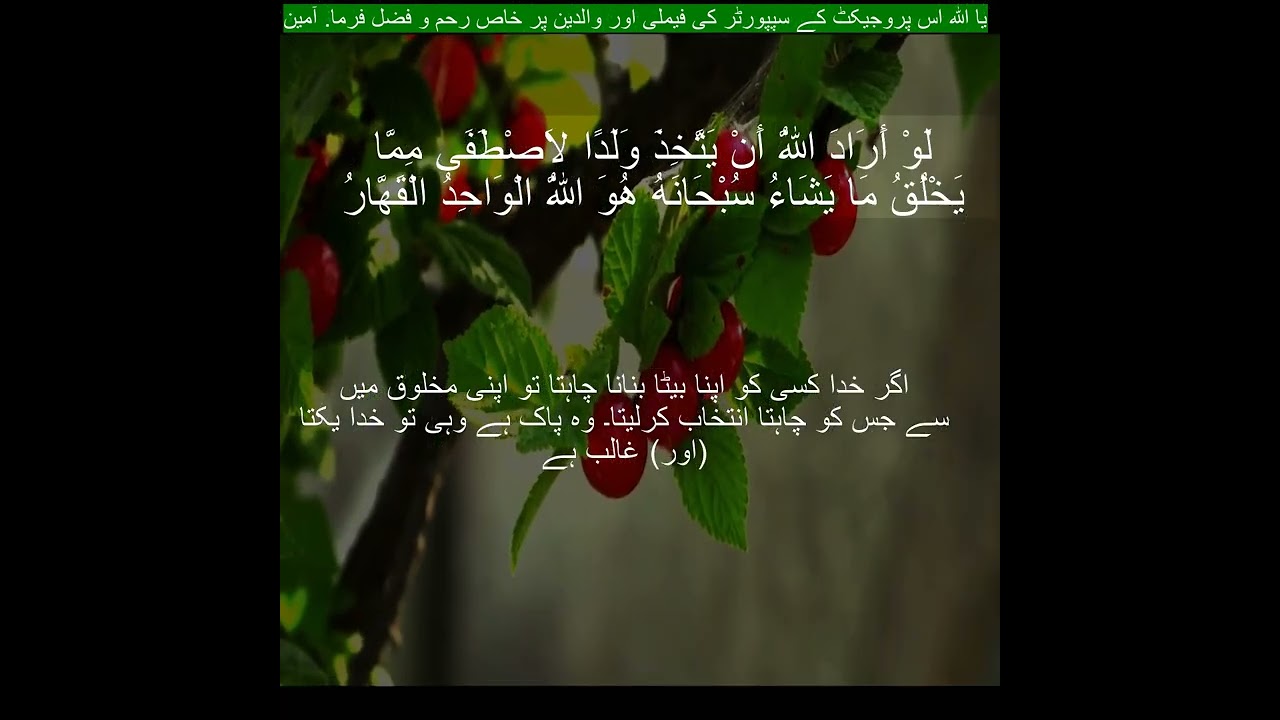 Surah Az Zumar |39:4 | Quran Translation In Urdu| Quran Recitation ...