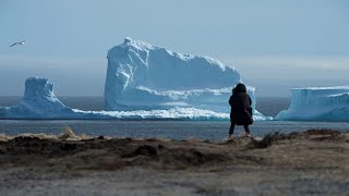 Fun Fact Friday - Where Do Icebergs Come From?