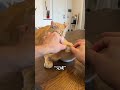 猫ちゃんのための特別なプレゼント