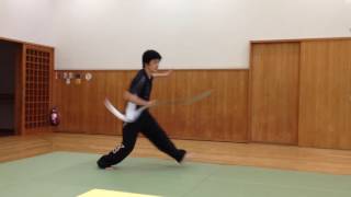 山西派形意拳　形意連環刀１　Shanxi Xingyiquan (XingYi linking sword) cam1