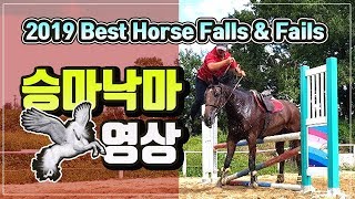 【낙마#1】 Best Horse falls and fails(2019) 승마중 실수영상모음