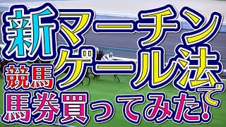 競馬検証・新マーチンゲール法で馬券買ってみた。