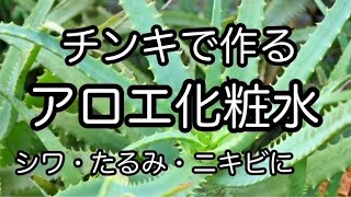 チンキを使った【アロエ化粧水の作り方】シワ・たるみ・ニキビ・火傷に効く　Make with tincture [Aloe lotion]