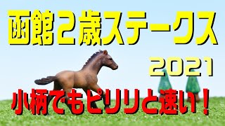 函館２歳ステークス【2021予想】母譲りの小柄な快速馬が決める！