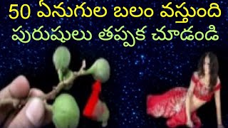 50 ఏనుగుల బలం వస్తుంది వివాహమైన ప్రతి ఒక్కరూ తప్పక చూడండి