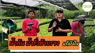 น้ำล้น น้ำรั่วท้ายรางผักไฮโดรโปนิกส์  แก้ยังไง | สำหรับมือใหม่ Ep.2