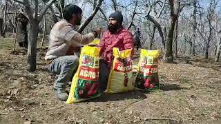 Growers are using SUPER AGROTECH in kashmir valley. #farmingkashmir #superagrotech