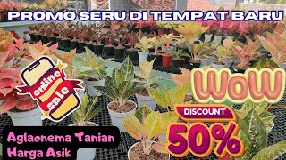 Promo Seru Di Tempat Baru, Aglaonema Tanian Harga Asik, Kualitas Oke. Banyak Diskon Bestie.... *813