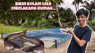 BUAT USAHA KOLAM LELE DI BELAKANG RUMAH BARENG BAPAK !!!