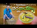 Beerakaya Roti Pachadi Recipe In Telugu || బీరకాయ రోటి పచ్చడి  || Food on Farm ||