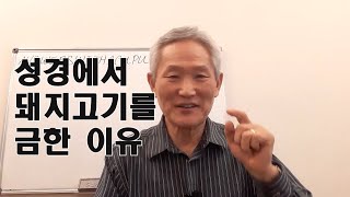 성경에서 돼지고기를 금한 이유