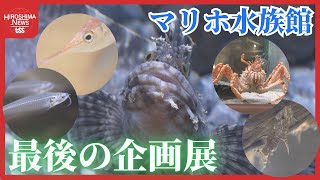 マリホ水族館　最後の企画展「生き物ふしぎ発見」　今年１２月に閉館