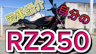 【車両紹介】RZ250 ヒヅキ管