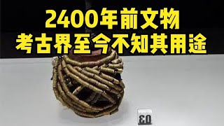 2400年前文物金彈簧器，考古界至今不知其用途，你知道它的作用嗎 #胡八一探秘古墓 #古墓 #古墓挖掘 #歷史謎團 #兵馬俑的奧秘