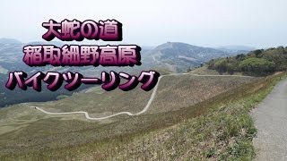 大蛇の道を行く　稲取細野高原