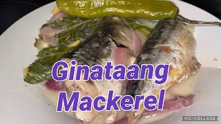 Ginataang Mackerel Panlasang Pinoy