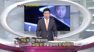 #11 민물장어vs갯벌장어, 맛을 비교해 보니.이영돈PD의 먹거리X파일 E33.120921