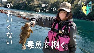 かわいくないけどおいしかった！ついに毒魚を捌く😏#95【初心者釣り女子】