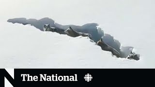 #TheMoment a pack of wolves dug a tunnel through the snow in China