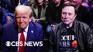 Trump accuses media of trying to drive him and Musk apart