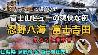 【 忍野村   富士吉田 】出没！アド街ック天国の予習・復習にお楽しみください　爽快！富士山ビューの爽快な街　山梨県　忍野八海　富士急ハイランド　森の中の水族館　吉田うどん　麺許皆伝　街紹介　街歩き