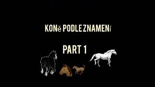 koně podle znamení part 1 🐎🐎