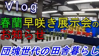 03-01　和歌山愛蘭会・春蘭早咲き展示会のお知らせです。