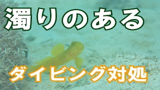 【濁りのあるダイビング】熱烈先生のダイビング講座　第47講