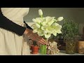 카라 튤립 믹스 부케│부케 만들기│calla bouquet│making a wedding bouquet