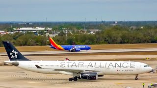 Bird Strike Go Around Surprise Air Canada A330 Spotting TPA