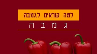 סיפור לילדים: למה קוראים לגמבה - גמבה