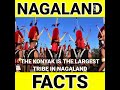 Naga Konyak tribes, Nagaland facts Nikaz facts #shorts