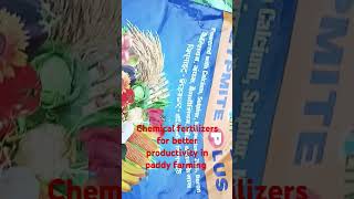 Chemical fertilizers for better productivity in paddy farming  #farming #chemical #fertilizer