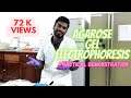 Agarose gel electrophoresis