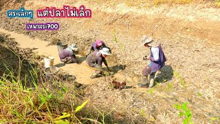 สุดคุ้ม สระร่องน้ำเล็กๆ แต่ปลาไม่เล็ก บรรยากาศเหมาสระ/บ้านนาพาสุข EP.457