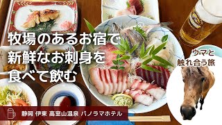 【伊豆・伊東 牧場のお宿 一人旅】たくさんのウマに癒されながら、たくさんの刺身を食べて飲む旅