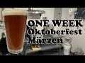 Brewing a Pseudo Oktoberfest/Märzen with Kveik on Clawhammer BIAB | Grain to Glass