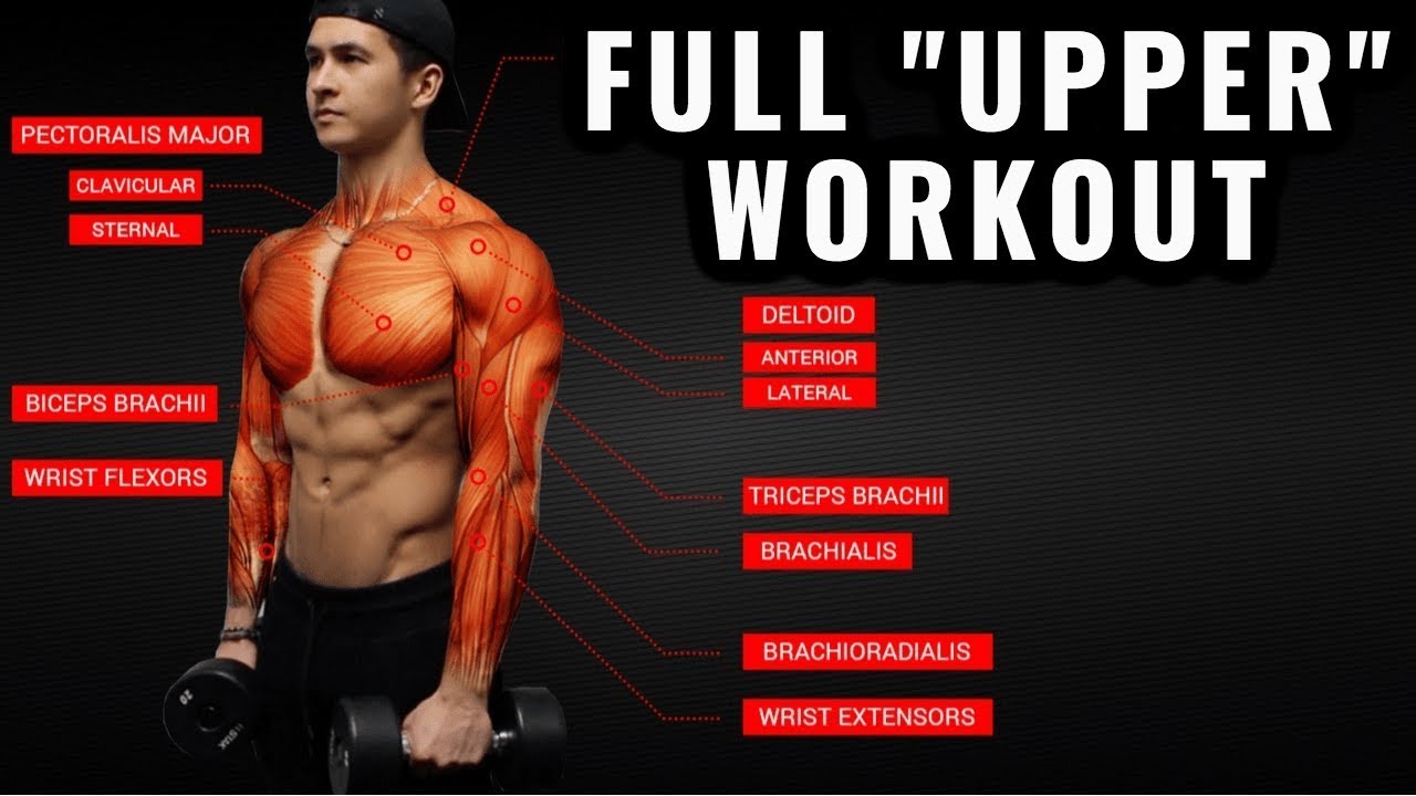The Best Science Based Upper Body Workout For Growth Chest Back Arms