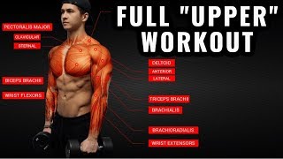 The Best Science-Based Upper Body Workout for Growth (Chest/Back/Arms/Shoulders)