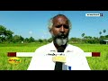 பாரம்பரிய நெல் சாகுபடி மக்கள் மத்தியில் வரவேற்பு karaikal farmer